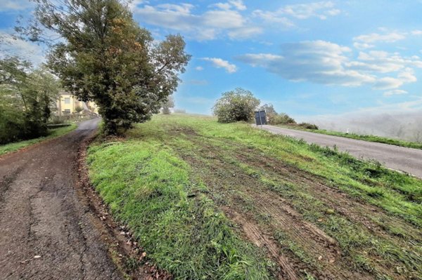 terreno agricolo in vendita a Coli