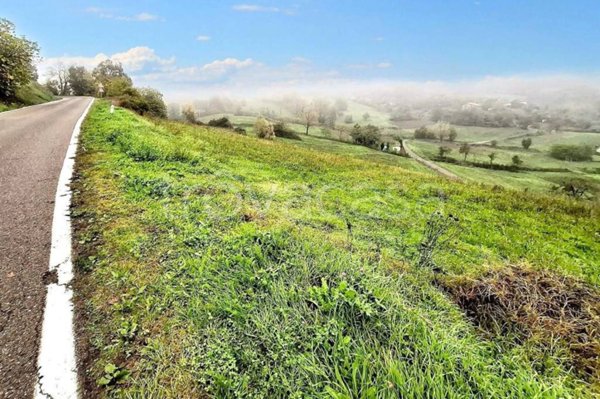 terreno agricolo in vendita a Coli
