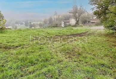 terreno agricolo in vendita a Coli