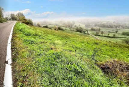 terreno agricolo in vendita a Coli
