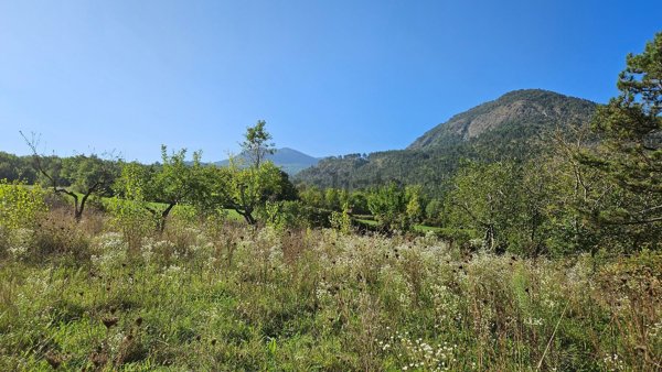 casa indipendente in vendita a Coli in zona Perino