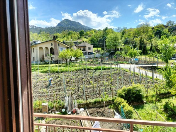 appartamento in vendita a Coli