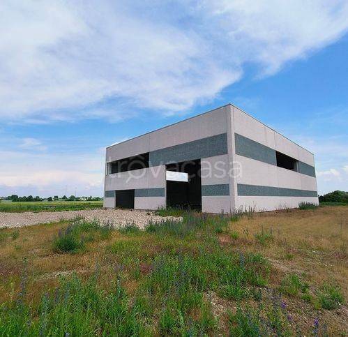 locale commerciale in vendita a Cortemaggiore