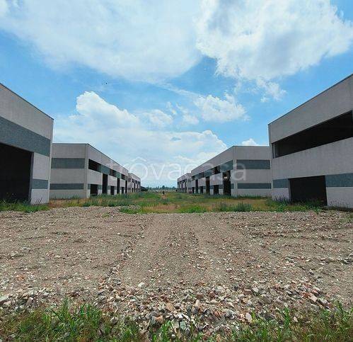 terreno edificabile in vendita a Cortemaggiore