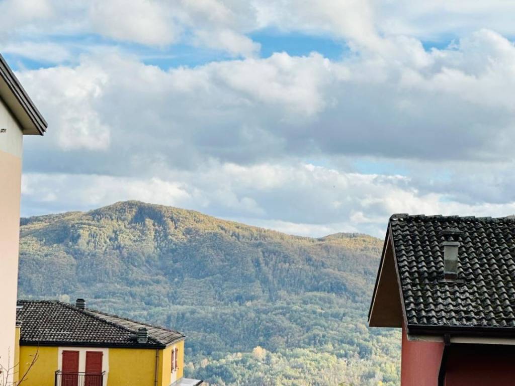 appartamento in vendita a Farini in zona Groppallo