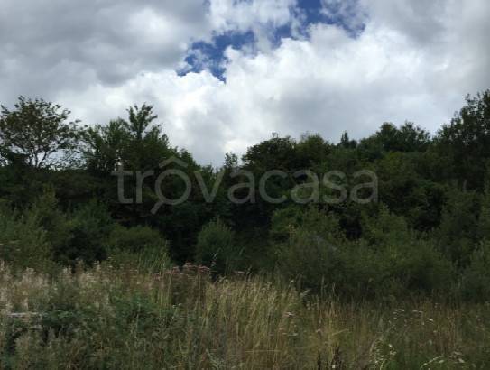 terreno agricolo in vendita a Ferriere in zona Selva