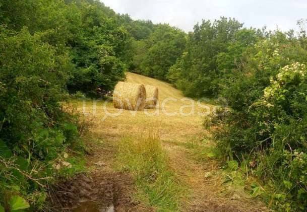terreno agricolo in vendita a Ferriere