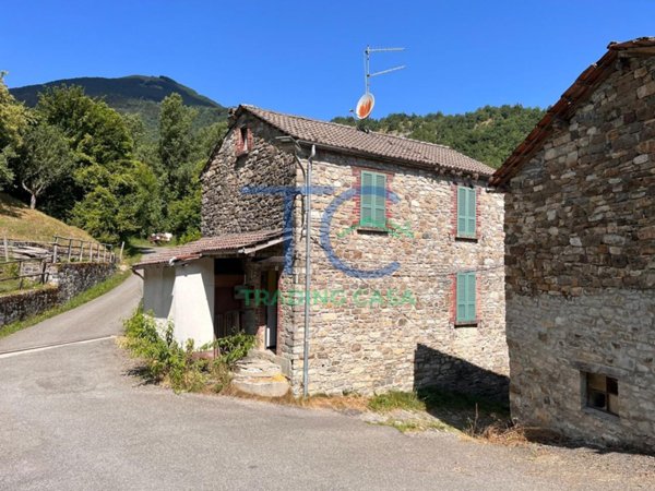 casa indipendente in vendita a Ferriere in zona Boschi