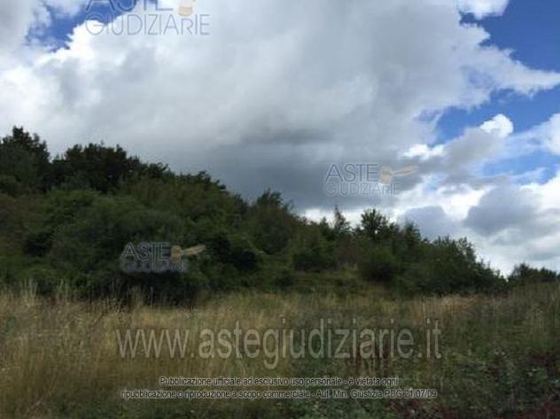 terreno agricolo in vendita a Ferriere in zona Selva