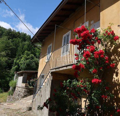 casa indipendente in vendita a Ferriere in zona Selva