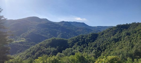 casa indipendente in vendita a Ferriere in zona Selva