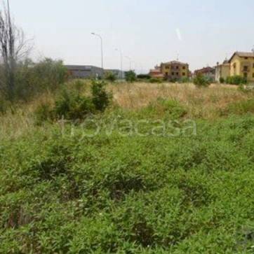 terreno edificabile in vendita a Fiorenzuola d'Arda