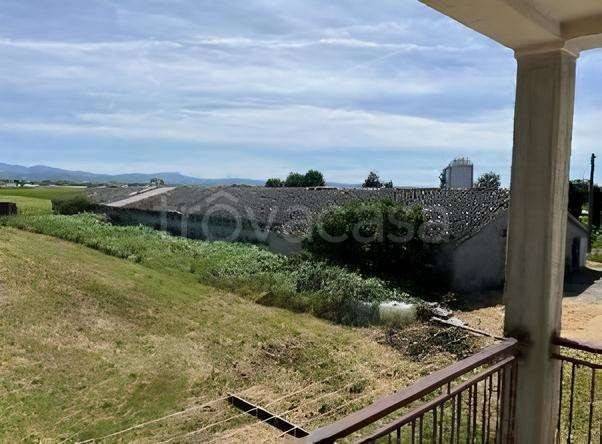 azienda agricola in vendita a Fiorenzuola d'Arda in zona San Protaso