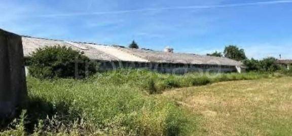 azienda agricola in vendita a Fiorenzuola d'Arda in zona San Protaso