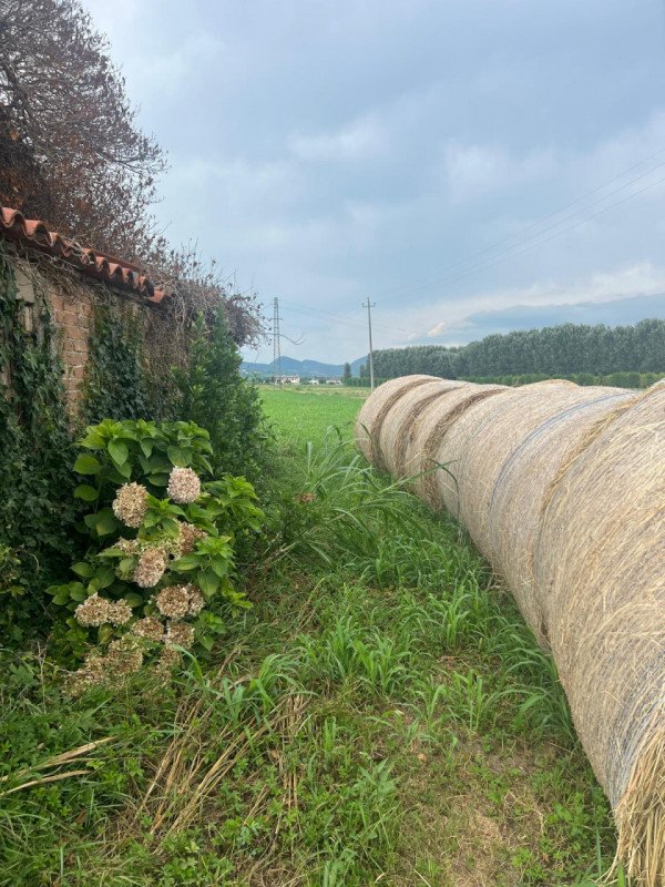 negozio in vendita a Fiorenzuola d'Arda
