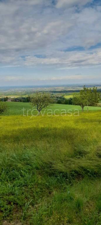 terreno agricolo in vendita a Gazzola