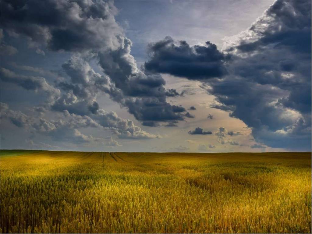 terreno agricolo in vendita a Gazzola