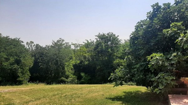 appartamento in vendita a Gazzola in zona Momeliano