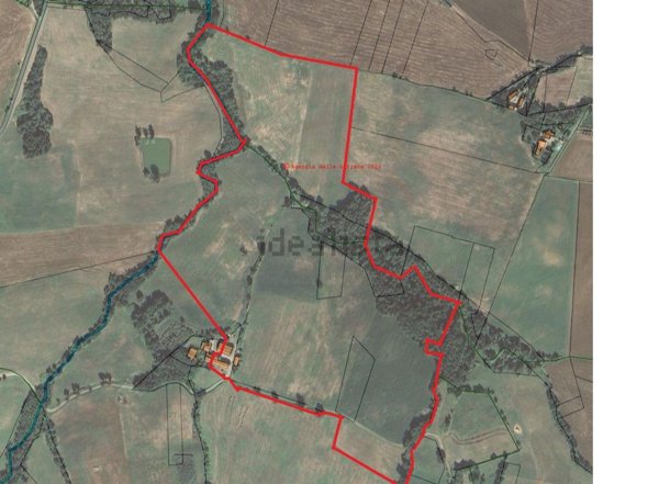 immagine annuncio 0 di 1