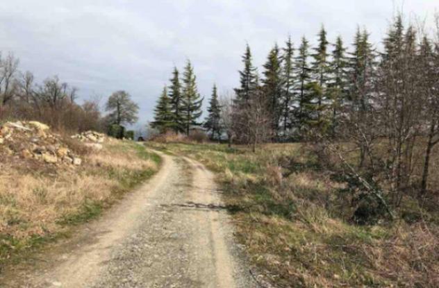 terreno edificabile in vendita a Gazzola