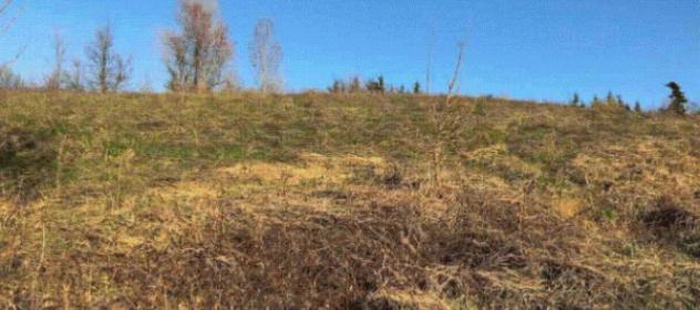 terreno edificabile in vendita a Gazzola