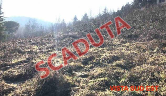 terreno edificabile in vendita a Gazzola in zona Rezzanello