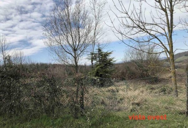 ufficio in vendita a Gazzola