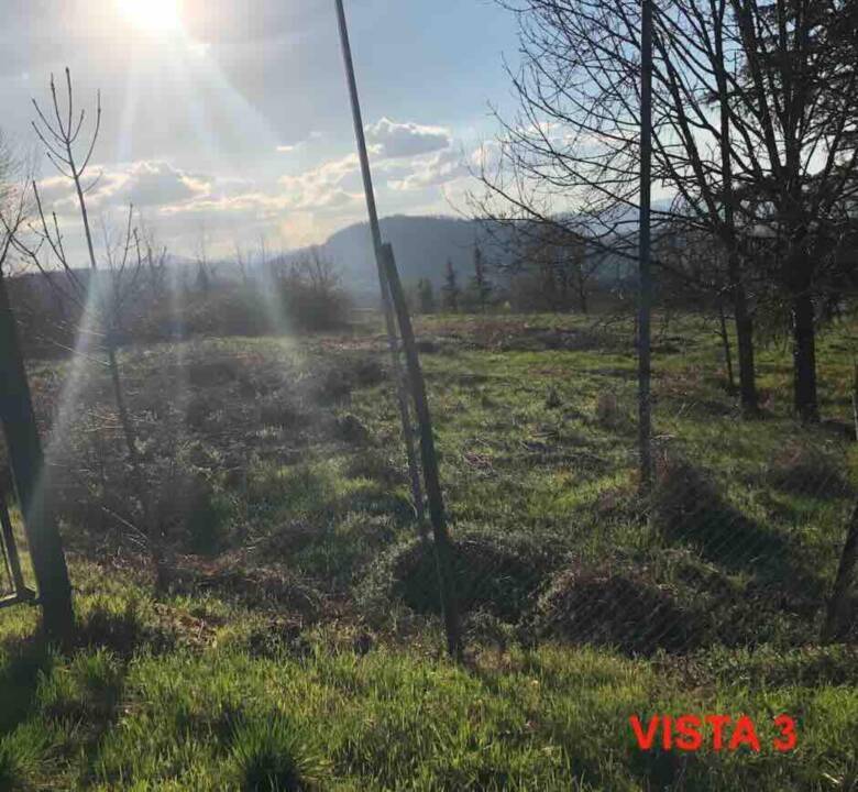 terreno agricolo in vendita a Gazzola