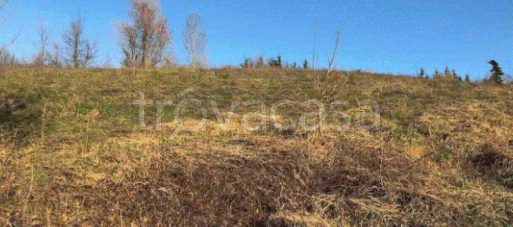 terreno edificabile in vendita a Gazzola