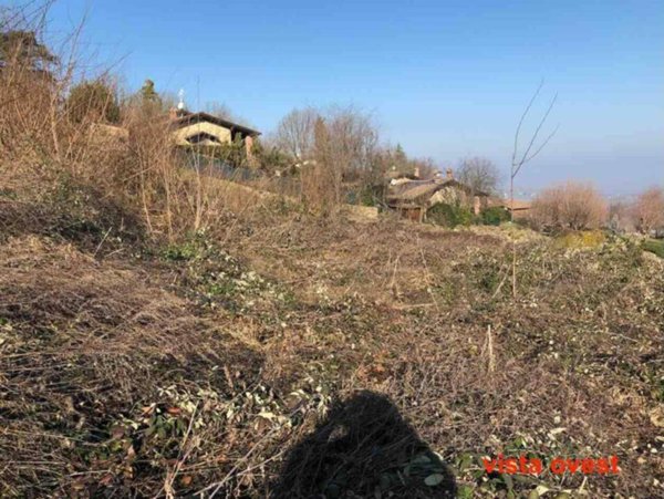 terreno agricolo in vendita a Gazzola in zona Rezzanello