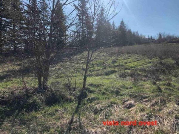 ufficio in vendita a Gazzola