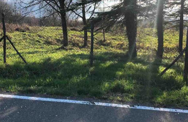 terreno edificabile in vendita a Gazzola