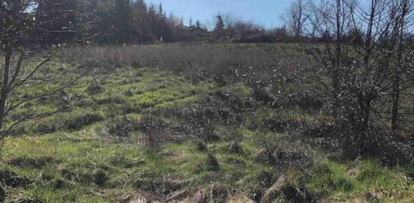 terreno edificabile in vendita a Gazzola