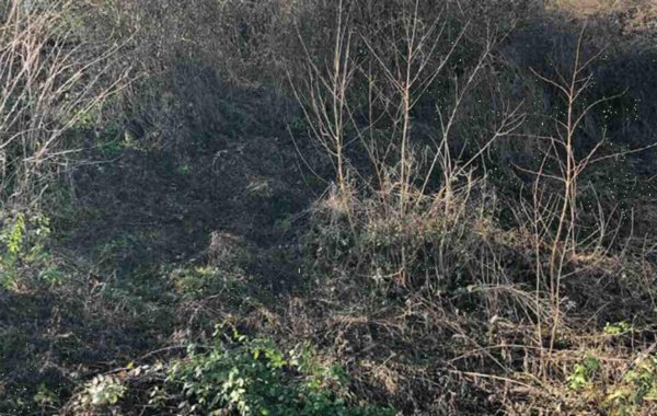 terreno edificabile in vendita a Gazzola in zona Rezzanello