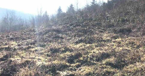 terreno edificabile in vendita a Gazzola in zona Rezzanello