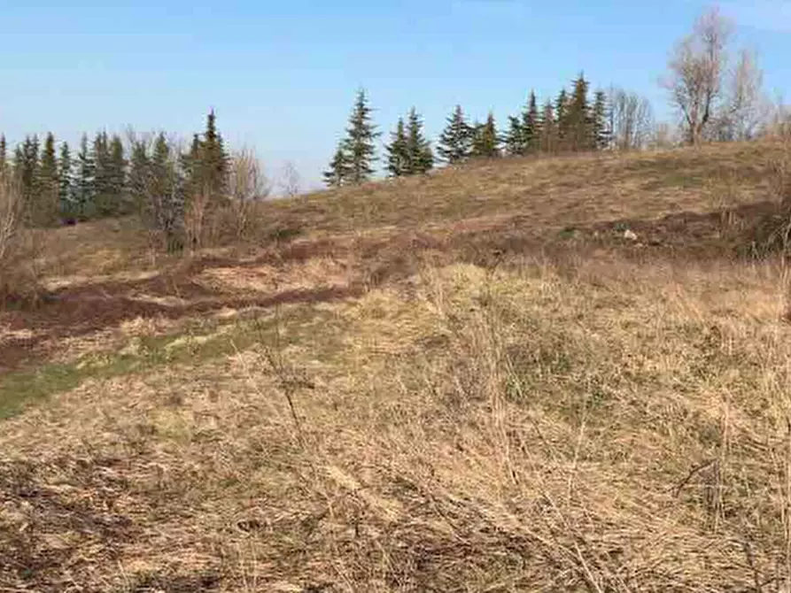 terreno edificabile in vendita a Gazzola