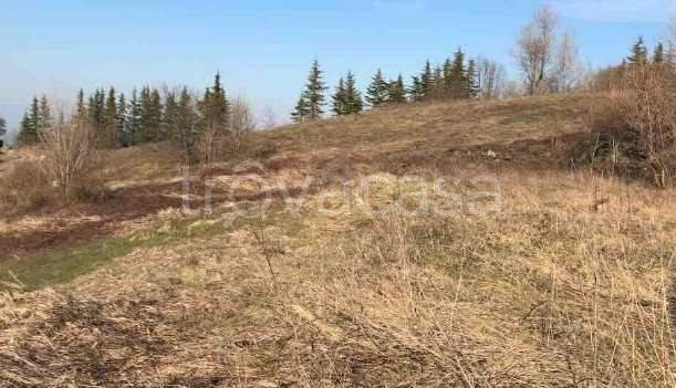 appartamento in vendita a Gazzola