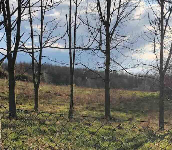 terreno edificabile in vendita a Gazzola