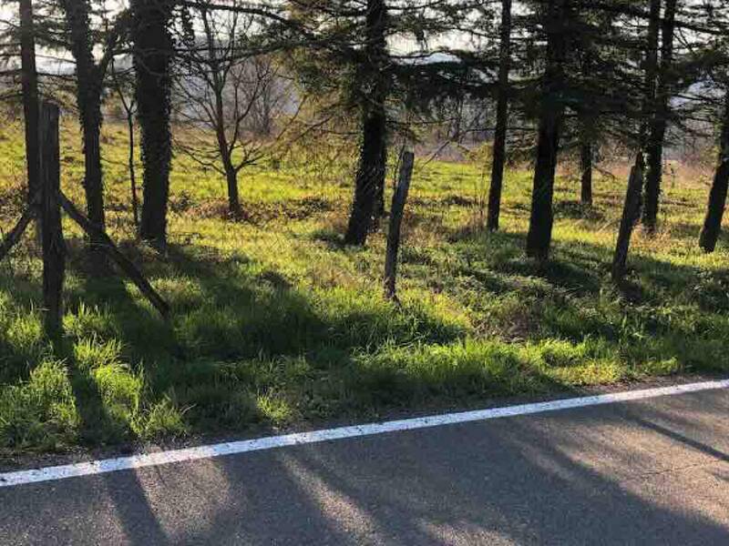 terreno edificabile in vendita a Gazzola