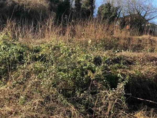 terreno edificabile in vendita a Gazzola in zona Rezzanello