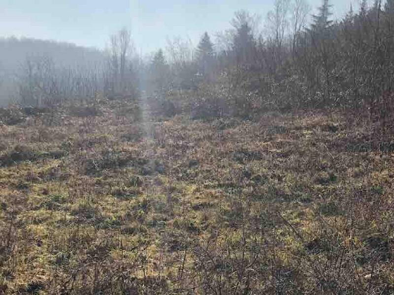 terreno edificabile in vendita a Gazzola in zona Rezzanello