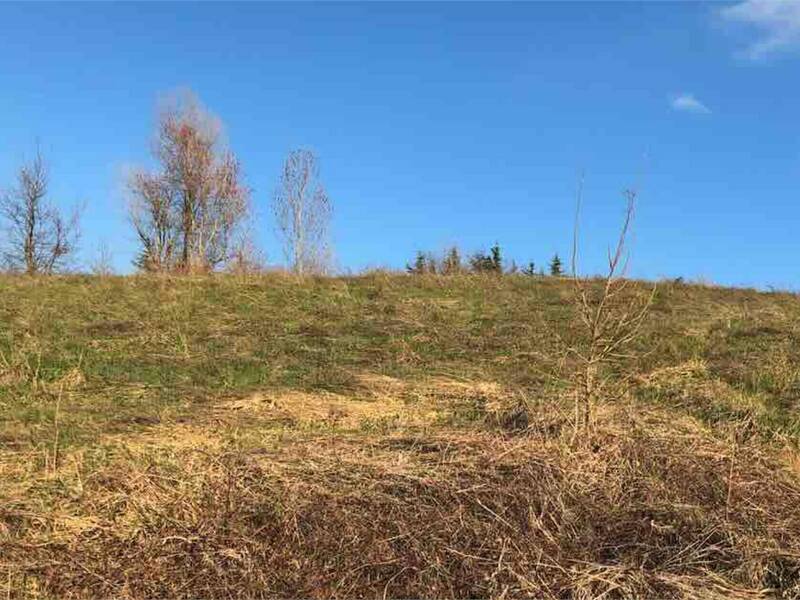 terreno edificabile in vendita a Gazzola