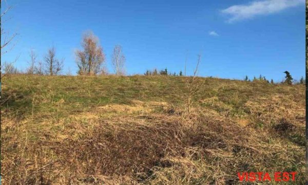 ufficio in vendita a Gazzola