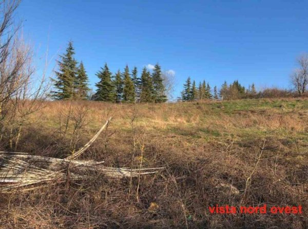 ufficio in vendita a Gazzola