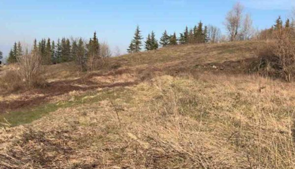 terreno edificabile in vendita a Gazzola