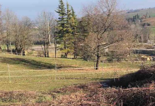 terreno edificabile in vendita a Gazzola