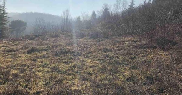 terreno edificabile in vendita a Gazzola in zona Rezzanello