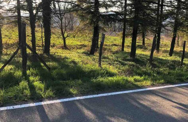 terreno edificabile in vendita a Gazzola