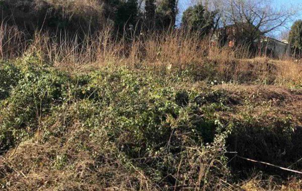 terreno edificabile in vendita a Gazzola in zona Rezzanello