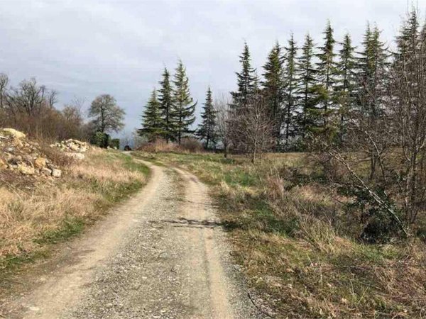 terreno edificabile in vendita a Gazzola